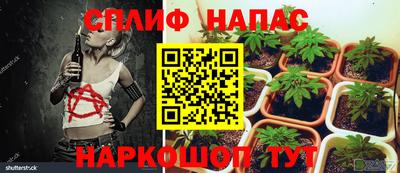 дмт Севастополь